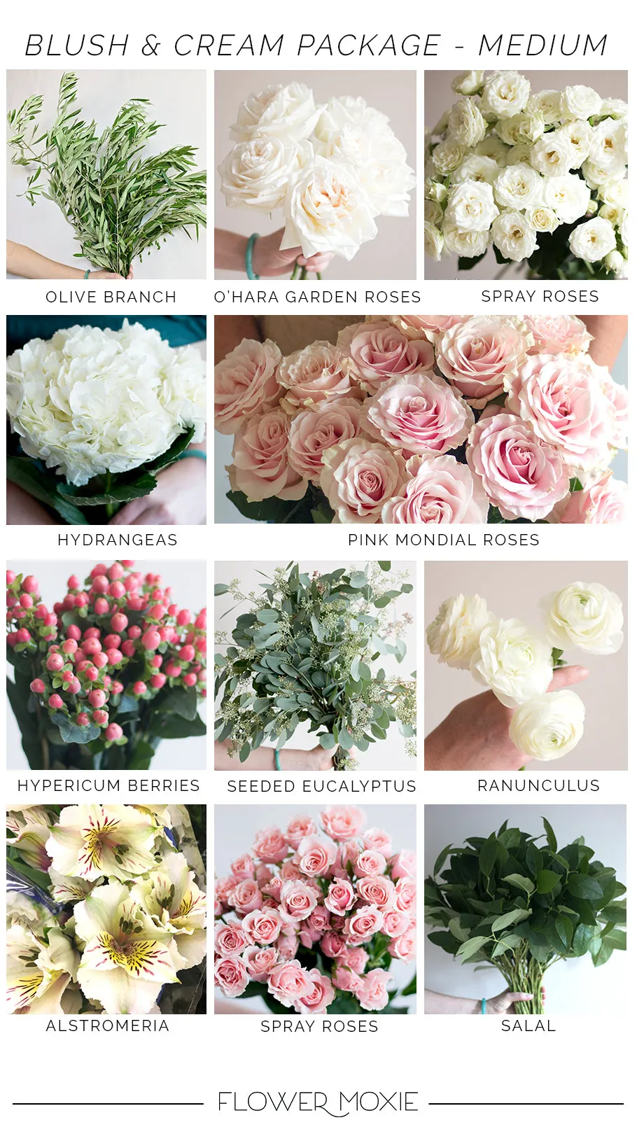Blush and Creams- Medium Package